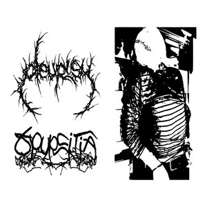 Pleurisy/Spurcitia Split (Spurcitia side)