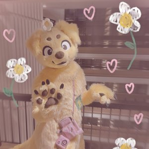 flower.puppy 的头像