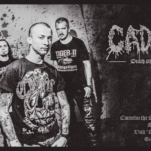 Cadavrul 的头像