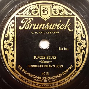 Room 1411 / Jungle Blues