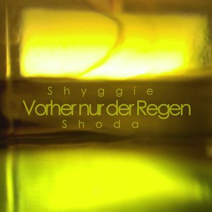 Image pour 'Vorher nur der Regen (Single)'