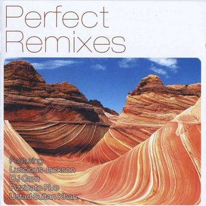 Perfect Remixes