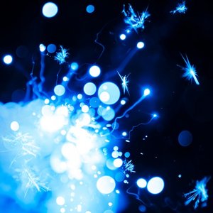 Tamamono (Orchestra Version)