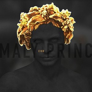 Malý Princ