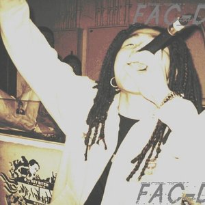 Fac-D12 的头像