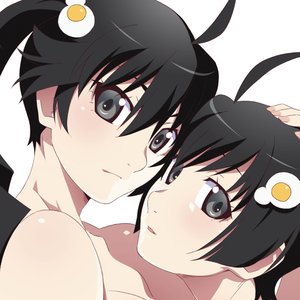 NISEMONOGATARI & NEKOMONOGATARI (KURO) Original Soundtracks