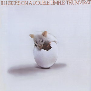 Illusions on a Double Dimple cover