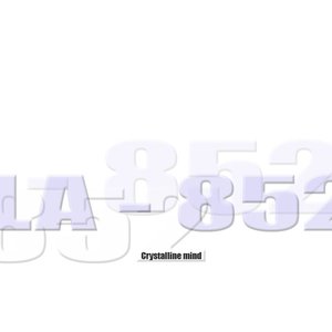 LA - 852