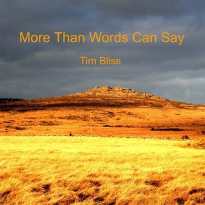 More Than Words Can Say