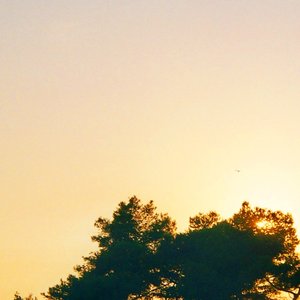 Starfields EP