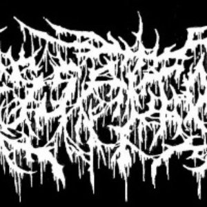 Avatar for Cessation
