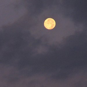 Moonlight