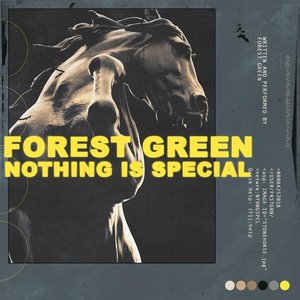 Nothing Is Special - EP