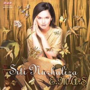 Siti Nurhaliza - Ku Yakini Lyrics - Zortam Music