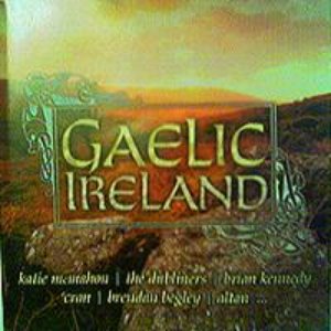 Gaelic Ireland