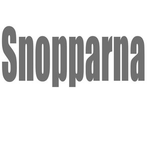 SnopparnA 的头像