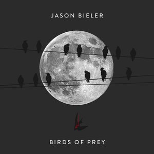 Birds Of Prey