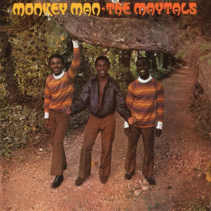 Monkey Man cover