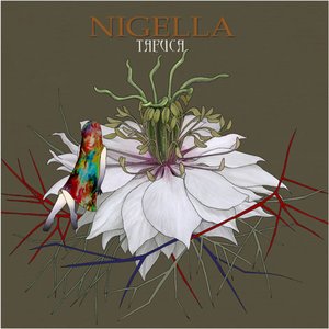 Nigella