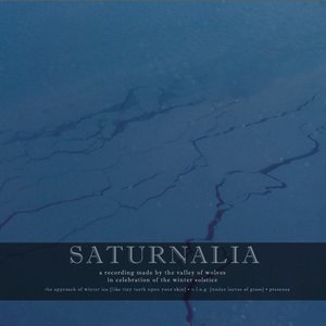 “Saturnalia”的封面