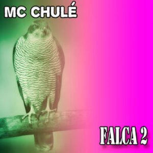 MC Chulé 的头像