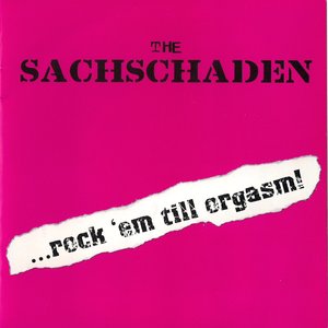 The Sachschaden のアバター