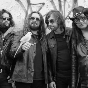 Fuck the Fitzroy Doom Scene 的头像