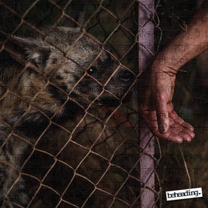 Evisceration Songs