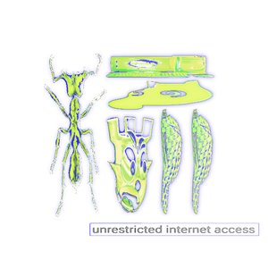 UNRESTRICTED INTERNET ACCESS