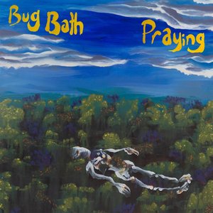 Bug Bath Split