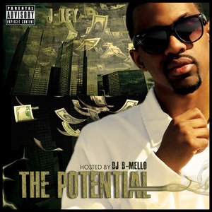 The Potential