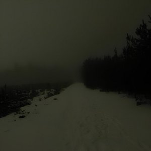 Виртуальная любовь