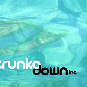Trunko Down inc 的头像