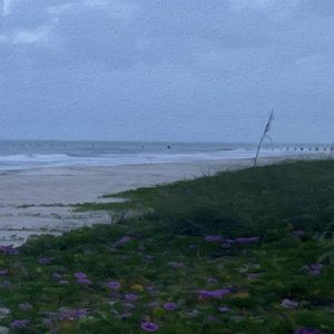 Salt Water