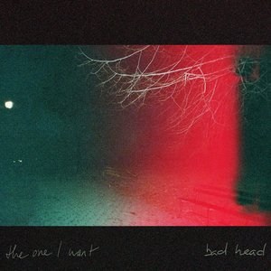 The One I Want - Single