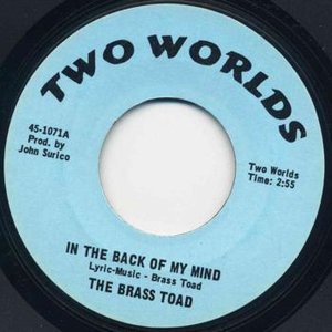 Brass Toads 的头像