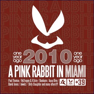 A Pink Rabbit In Miami (2010 One Year Ago)