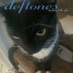 Around the Fur
