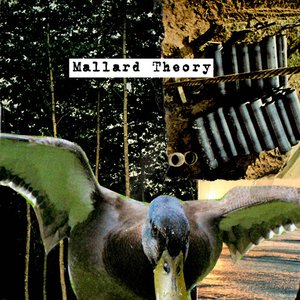 Avatar for Mallard Theory