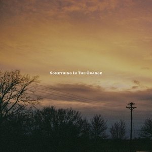 Something in the Orange - Single