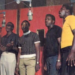 The Brooklyn Allstars 的头像