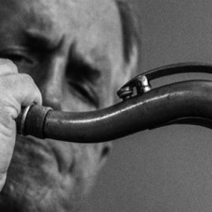 The Scott Hamilton Quartet 的头像