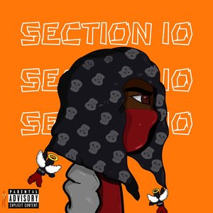 Section 10