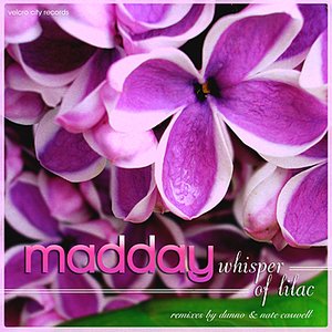 Whisper of Lilac