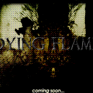 “Dying Flame”的封面