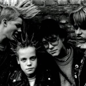 Avatar für Nisses Nötter