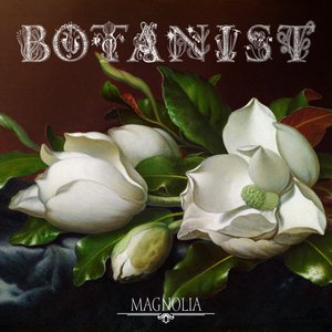 Magnolia - Single