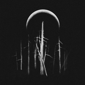 The Faerie Court (Under Moon)