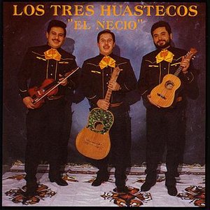 El Necio