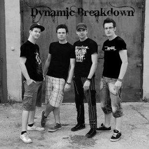 Dynamic Breakdown 的头像